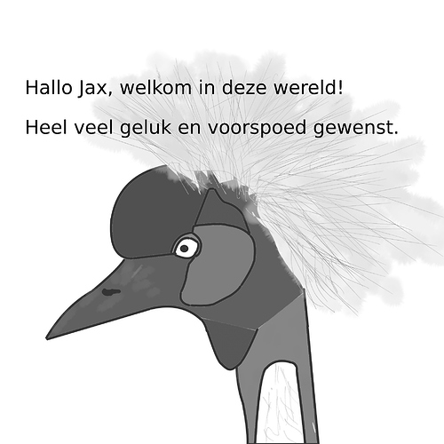 kraanvogel-kaart-Jax-s